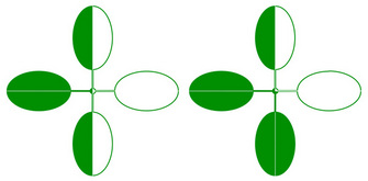 Two diagrams illustrate how stem cells in a center shoot meristem affect chlorophyll expression in a plant's leaves. Each diagram depicts a plant as a simple arrangement of four ovals (leaves) around a small, center circle (the meristem). The ovals are either colored green, white, or are half green and half white. In the diagram to the left, a plant has a colorless leaf, a green leaf, and two leaves that are half green and half colorless. In the second diagram, the plant has two green leaves, one colorless leaf, and one leaf that is half green and half colorless.