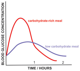 A line graph shows how a carbohydrate-rich meal and a low carbohydrate meal influence blood glucose concentration over time, with blood glucose concentration plotted on the Y-axis against time in hours on the X-axis. After eating a carbohydrate-rich meal, the blood glucose concentration increases steadily and peaks at half an hour, then it declines steadily and is at its lowest point at two hours. Following the consumption of a low-carbohydrate meal, the blood glucose concentration increases gradually for approximately one hour, when it reaches a plateau, and then it slowly declines over the second hour.