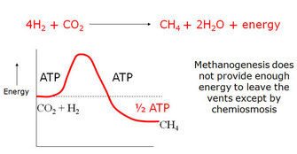 A line graph shows energy usage and production during methanogenesis. A chemical equation showing the production of methane (CH4), water (H2O), and energy from hydrogen (H2) and carbon dioxide (CO2) is shown above the graph. The graph is bell shaped and shows that, in the reaction, one ATP molecule is required to produce 1½ ATP molecules.