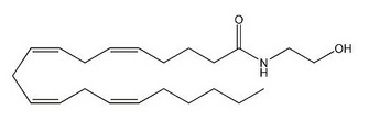 A diagram shows the structural formula of anandamide. The structure has similarities to arachidonic acid.