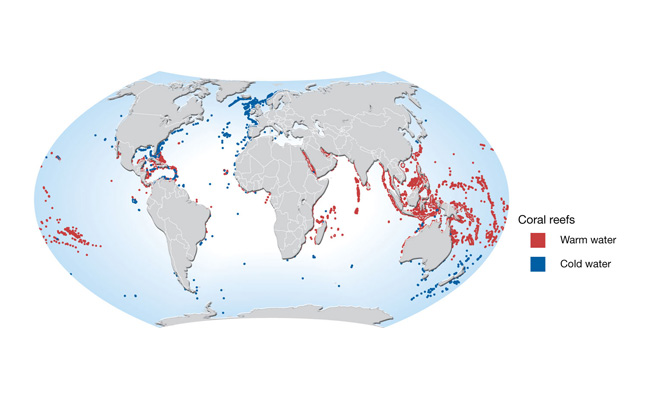 Global distribution of coral reefs