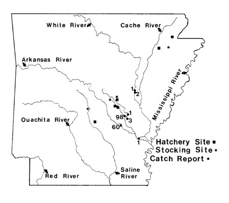 Location of known stocking sites and hatcheries of bighead carp (<i>Aristichthys nobilis</i>) and/or silver carp (<i>Hypophthalmichthys molitrix</i>) in Arkansas, which may be the centers of distribution for escaped fish