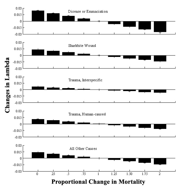 Predicted impact of systematically varying the level of mortality (0–200% baseline level) for one cause of mortality on the population growth rate (λ), while allowing mortality from all other causes to vary randomly for California sea otters (Gerber <i>et al.</i> 2003)