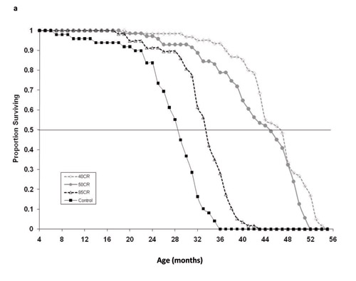 Survival curves for four treatment groups in the caloric restriction experiment of Weindruch <i>et al.</i> (1986): Control (<i>ad libitum</i>) and 85, 50 and 40 kcal/week feeding treatments.