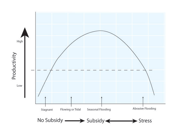 Subsidy-stress model illustrating the relationship between ecosystem productivity and wetland hydrology along a flooding gradient