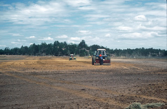 Revegetation of a mine tailing at Copper Cliff, Ontario, Canada, involving the mechanical application of seed and fertilizers