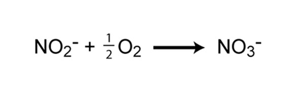 Chemical reaction of nitrite oxidation