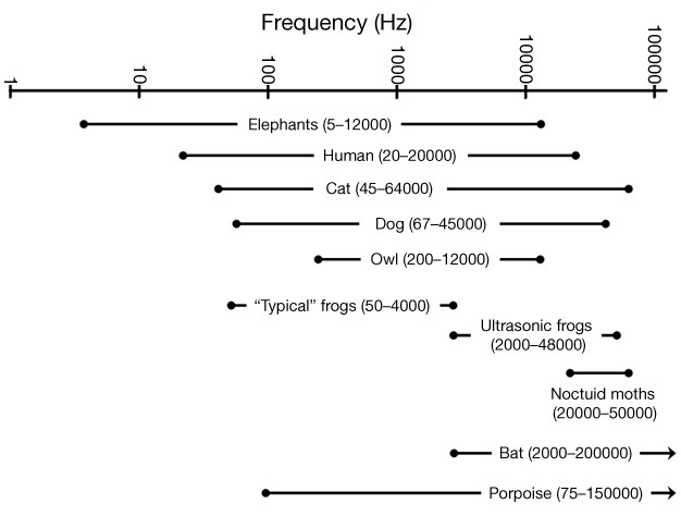 Range of sound frequencies that can be detected by a variety of animals