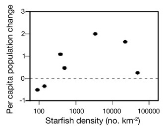 The relationship between per capita growth rate and starfish density show that the crown-of-thorns starfish (<i>Acanthaster planci</i>) is subject to a strong Allee effect.
