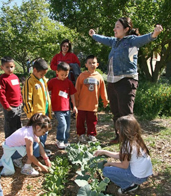 Instruction to agriculture in school gardens.