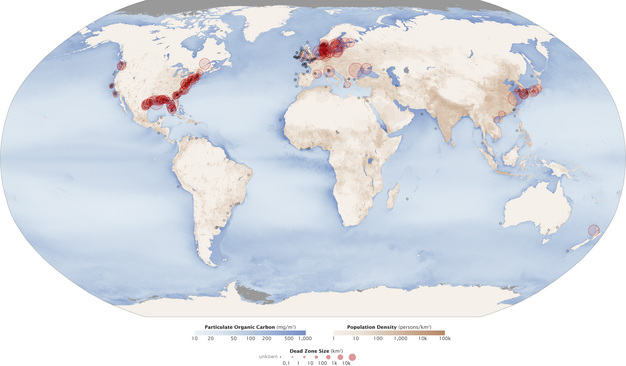 Aquatic dead zones across the world.
