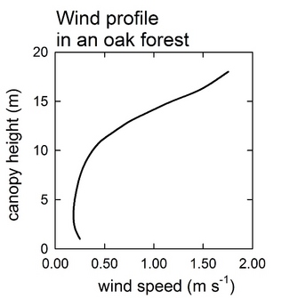 Wind profile through an oak forest in the New Jersey Pine Barrens throughout a year.