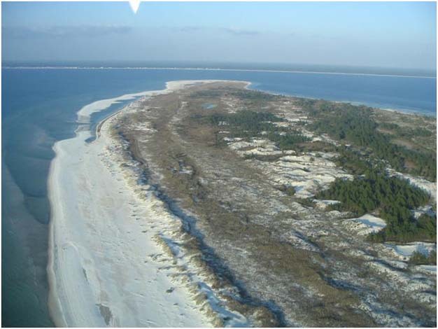 A modern foredune and relict foredunes forming a foredune plain.
