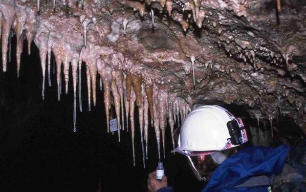 Line of stalactites, each consisting of a solid upper part and a hollow (soda straw) termination.