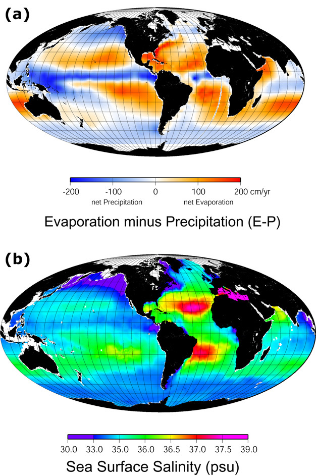 Global distribution of (a) evaporation minus precipitation (Schmitt 1995) and of (b) surface water salinity (Curry 1996).
