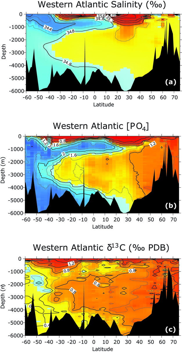Modern transects from the western Atlantic Ocean.