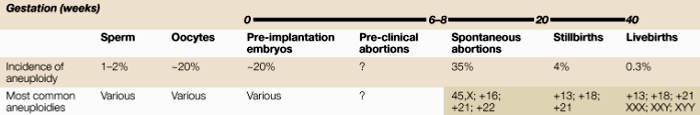 This table shows the incidence of aneuploidy and the most common aneuploidies in sperm, oocytes, pre-implantation embryos, pre-clinical abortions, spontaneous abortions, stillbirths, and livebirths.