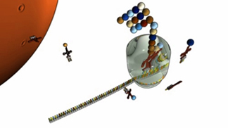 A schematic shows a top-down view of a ribosome attached to the right end of a single horizontal strand of MRNA. Inside the ribosome, a TRNA molecule is attached to the MRNA sequence via its anticodon sequence. A long chain of amino acids is attached to the top of the TRNA molecule and protrudes from the top of the ribosome.