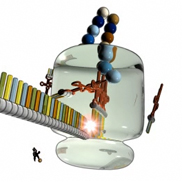 A schematic shows a ribosome attached to a single horizontal strand of MRNA. Inside the ribosome, two molecules of TRNA have bound to complementary sequences on the MRNA. Amino acids are attached to the TRNA molecules, forming a peptide chain.