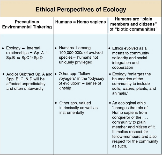 Three ethical perspectives of ecology.