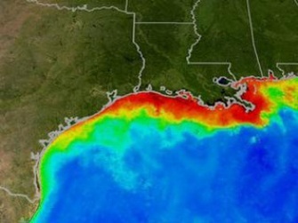 Summer algal conditions along the US Gulf Coast.
