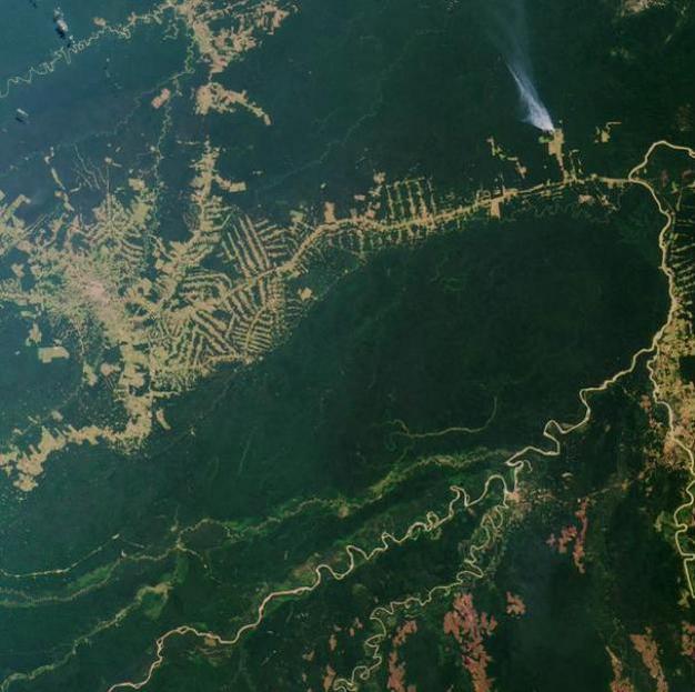 Deforestation around Rio Branco, Brazil.