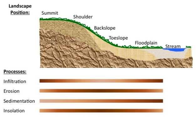 Landscape heterogeneity due to landscape position along a hill slope and possible effects on biophysical processes that effect carbon inputs and losses.