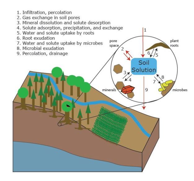 Schematic showing major processes associated with water in soils.