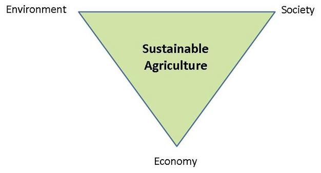 Sustainable agriculture.