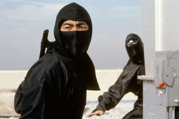 Two ninjas
