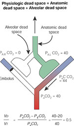 Figure 7 : Dead space. Unfortunately we are unable to provide accessible alternative text for this. If you require assistance to access this image, or to obtain a text description, please contact npg@nature.com