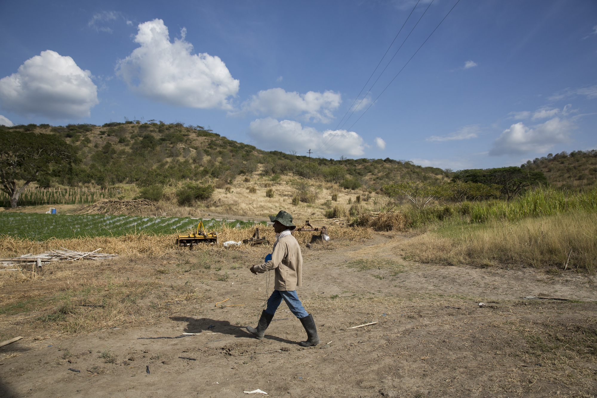 Miguel Velez, a former combatant walks toward the fields in La Unión, Colombia.