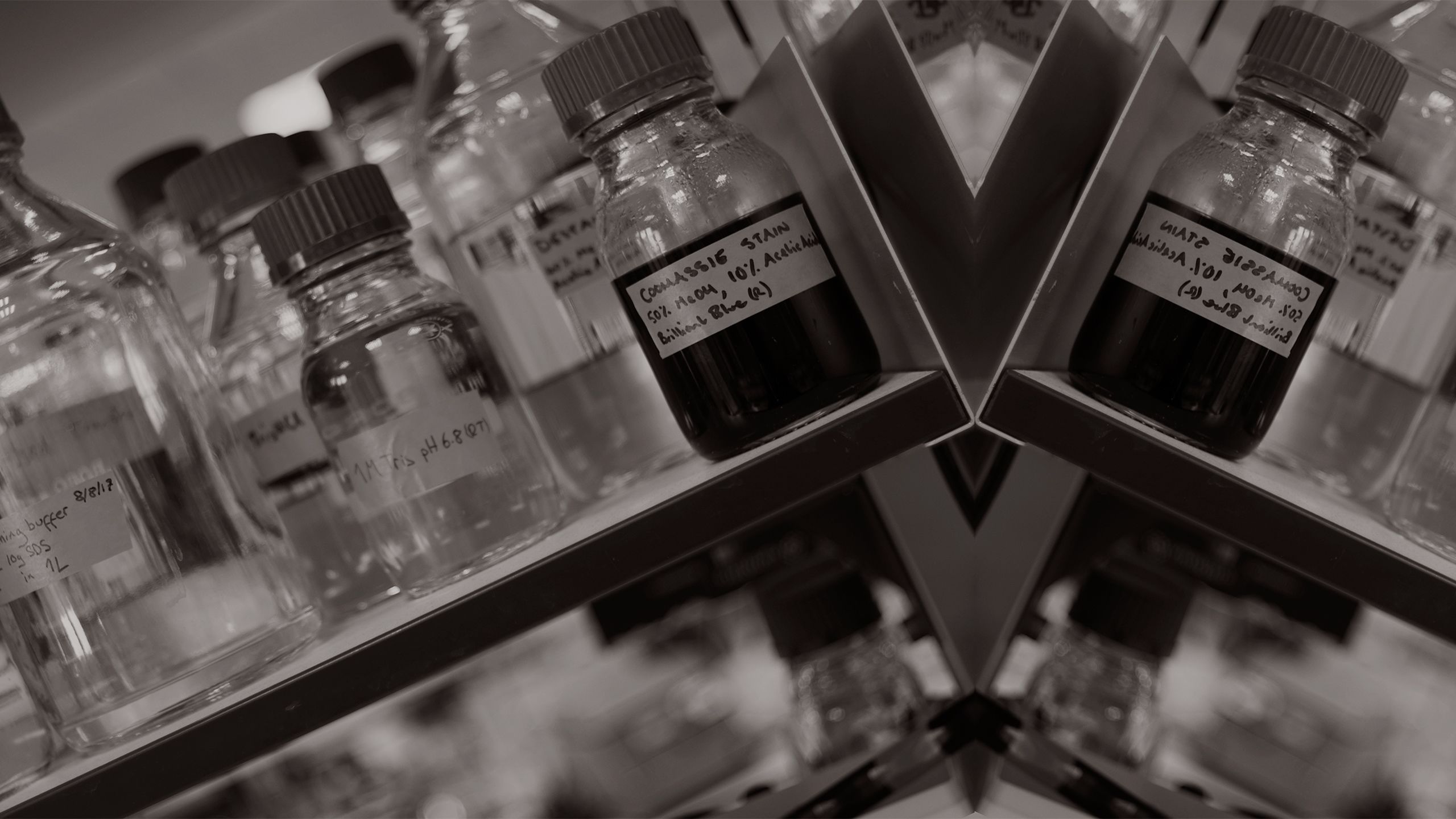 Black and white mirror image of solution bottles on a shelf in a lab at an angle 