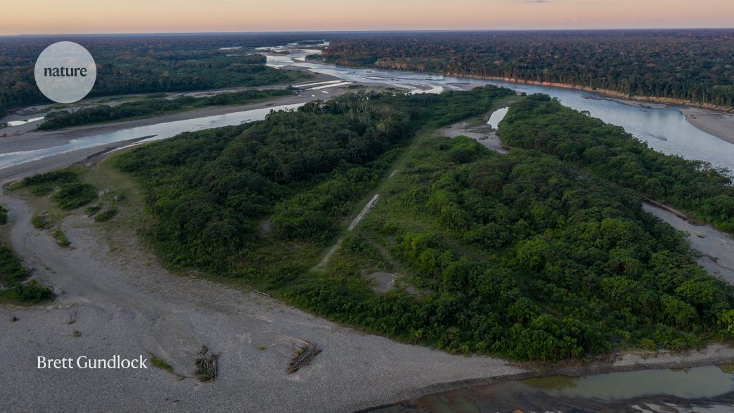 Saving the Amazon: how science is helping Indigenous people protect their homelands