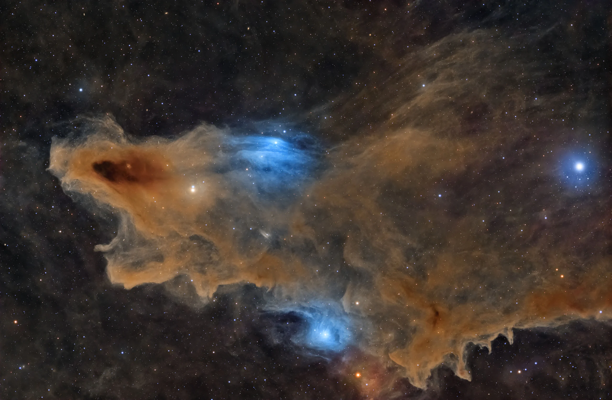 九月精選科學影像:從星雲到蜜蜂的視角