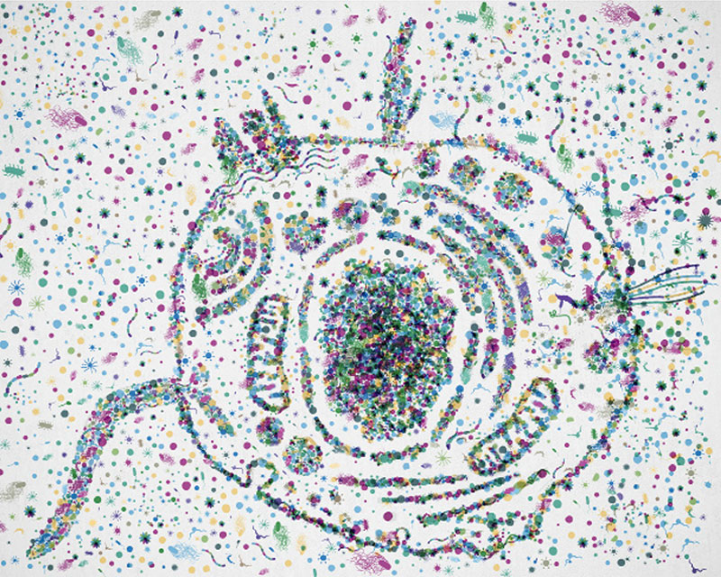Microbiota forming shape of animal cell