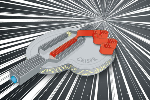 Cartoon of the CRISPR–Cas genome editing tool depicted as the Star Trek starship Enterprise