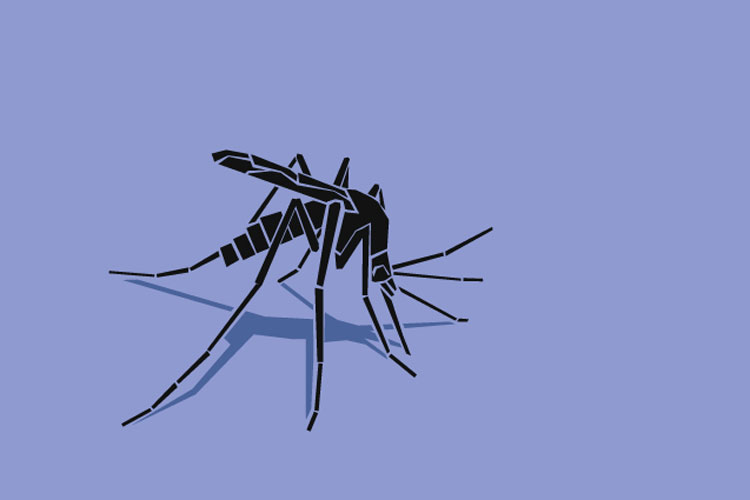 Black cut-out mosquito graphic