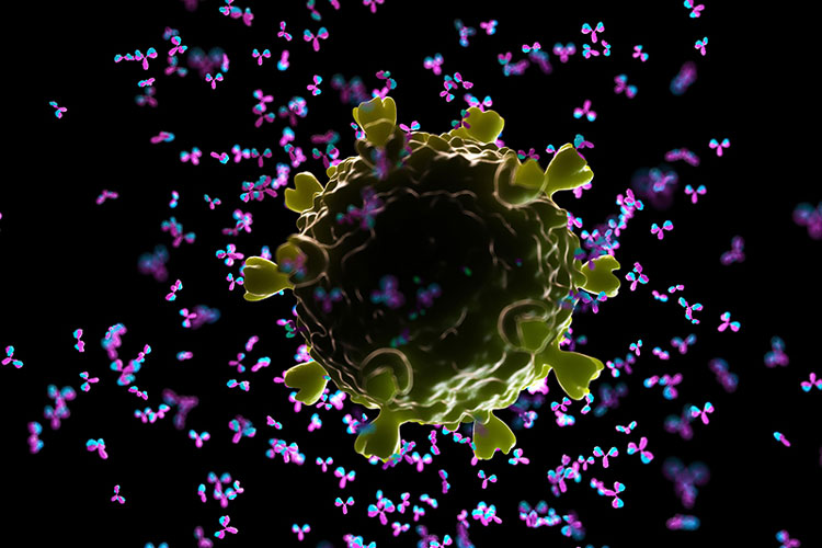 3D illustration of antibodies attacking a HIV virus