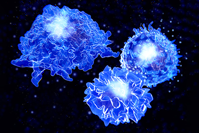 巨噬细胞（左上）、T 细胞（右上）和抗原呈递细胞（右下）的图示。 巨噬细胞正在分泌激活其他免疫细胞的细胞因子（蓝色球体）。