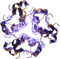 3D model of insulin molecule.