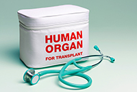 Human organ transplant bag and stethoscope.
