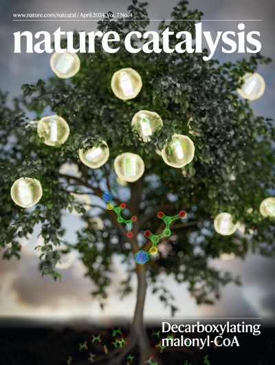 Nature Catalysis