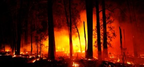 Catastrophic Australian bushfires derail research