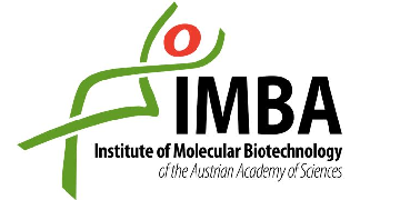 IMBA - Institute of Molecular Biotechnology logo