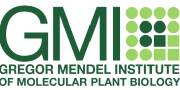 Gregor Mendel Institut of Molecular Plant Biology logo