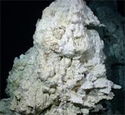 This calcium carbonate chimney is home to many unusual species.