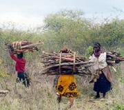 Africans are being urged to reduce their reliance on wood-burning.