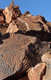 The 3.4-billion-year-old rocks show the dappled hallmarks of ancient life. Click here   to see pictures of the stromatolites.