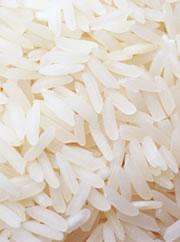 Rice modified to express proteins often found in breast milk will be planted in Kansas.